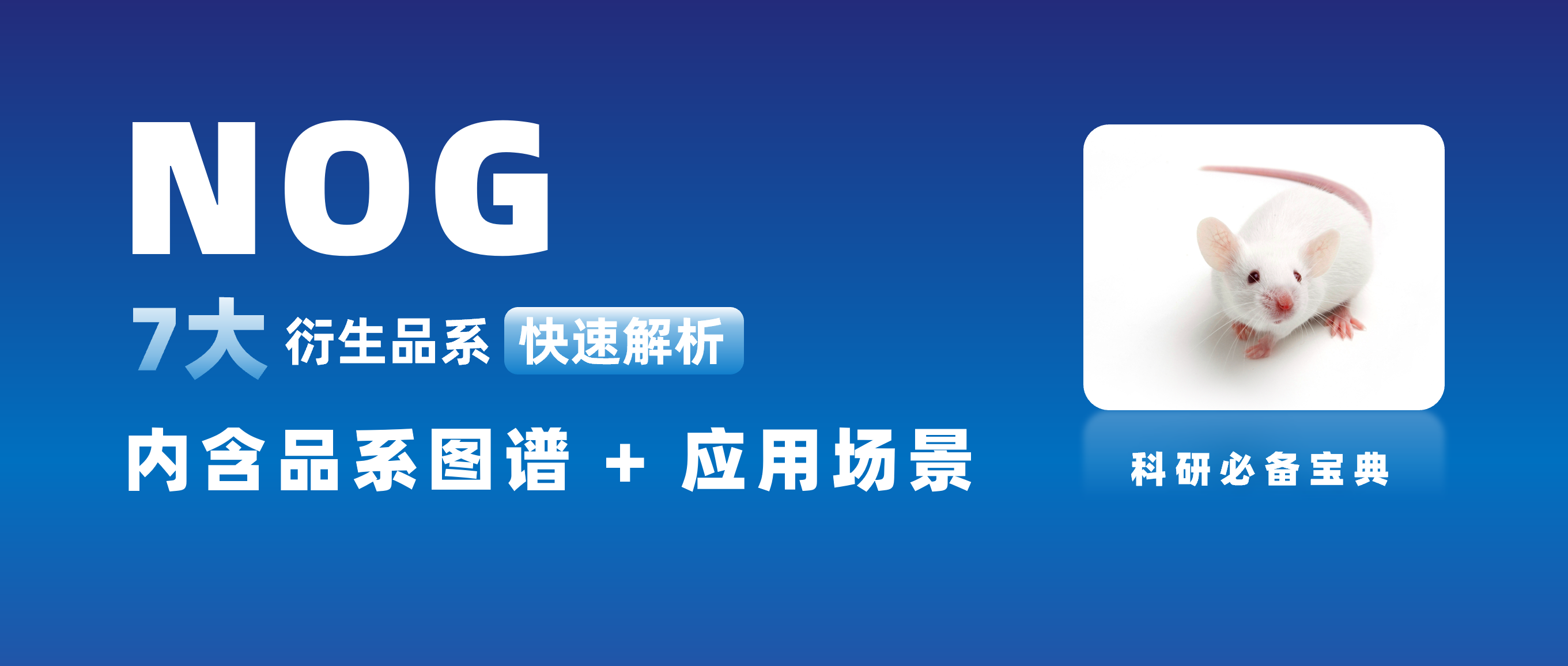 科研必备：不同NOG衍生品系的特点与应用场景解析